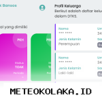 Cara Mudah Cek Status Pencairan Bansos PKH dan BPNT Kemensos Tahun 2026 Secara Online