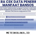 Panduan Lengkap Cara Cek Status Bansos Kemensos Tahun 2026 Pakai NIK dan Jadwal Cairnya