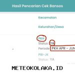 Panduan Lengkap Cara Melihat Status Penerima Bansos PKH Tahap 2 Tahun 2026 Secara Online