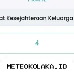 Panduan Praktis Melacak Status Desil Kemensos 2026 Lewat HP Hanya Modal Nomor KTP Saja