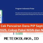 Panduan Praktis Melacak Status Pencairan Dana PIP 2026 Menggunakan NIK Serta NISN Siswa