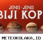 Rekomendasi Varian Biji Kopi Terbaik yang Paling Populer di Kalangan Pecinta Kopi 2026