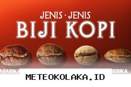 Rekomendasi Varian Biji Kopi Terbaik yang Paling Populer di Kalangan Pecinta Kopi 2026