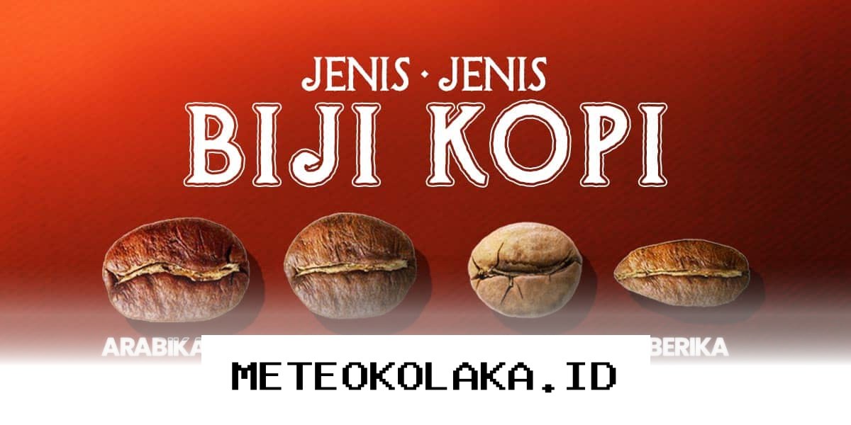 Rekomendasi Varian Biji Kopi Terbaik yang Paling Populer di Kalangan Pecinta Kopi 2026