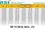Simulasi Cicilan Pinjaman KUR BSI 2026 Plafon 1 Juta sampai 100 Juta Paling Terbaru